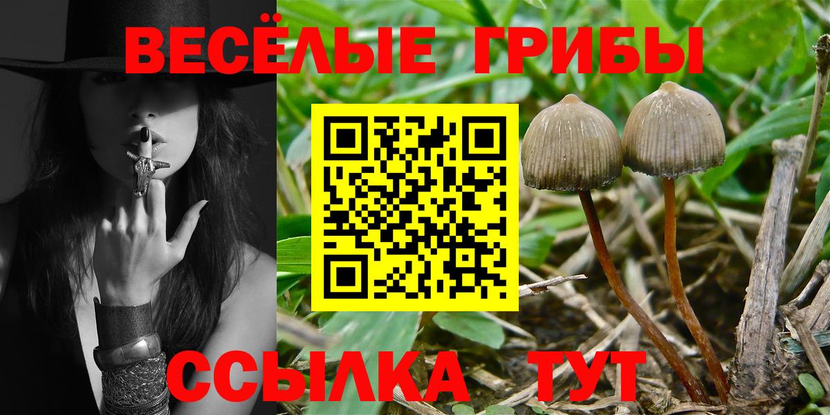 Галлюциногенные грибы Psilocybe Донской