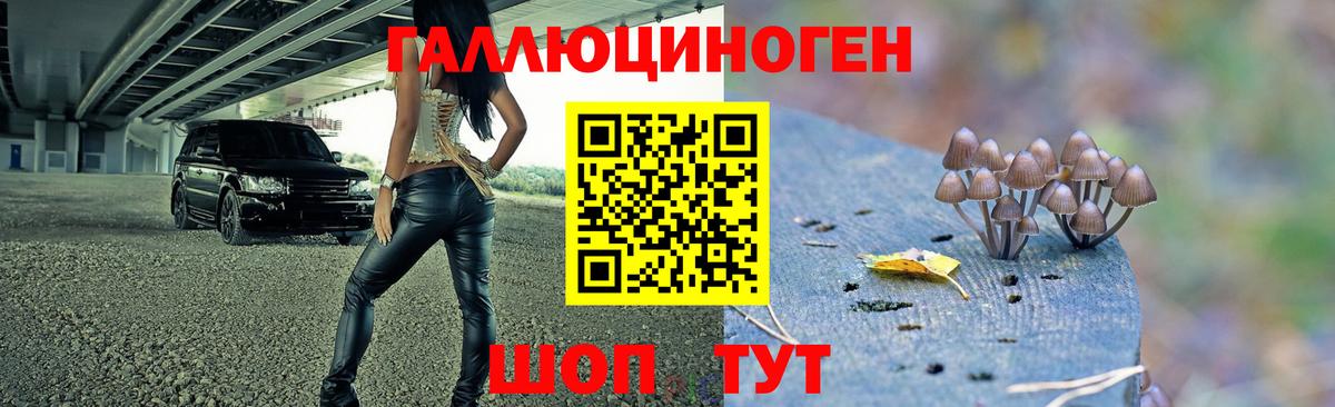 Донской  закладка  Псилоцибиновые грибы Psilocybine cubensis  Вход с VPN  Псилоцибиновые грибы Magic Shrooms 