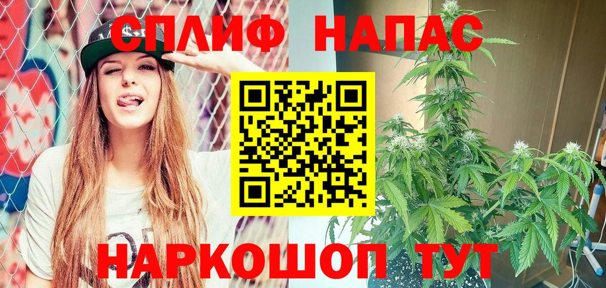 Донской  Бошки Шишки индика  Конопля конопля  Конопля Bruce Banner  Вход с VPN 